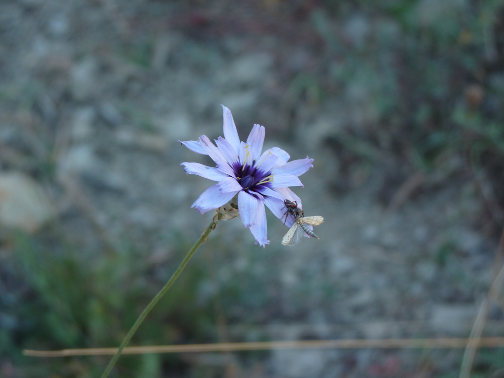 No s'ha trobat l'arxiu